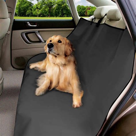 Machine-Washable Dog Car Seat Covers: Your 2025 Essential