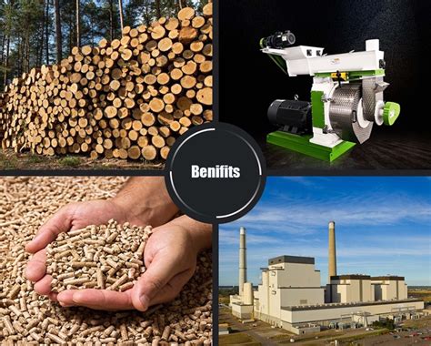 Machines for Making Pellet Wood: A Comprehensive Guide to the 4 Top Models