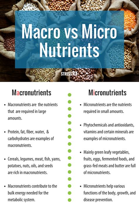 Macro and Micronutrients: