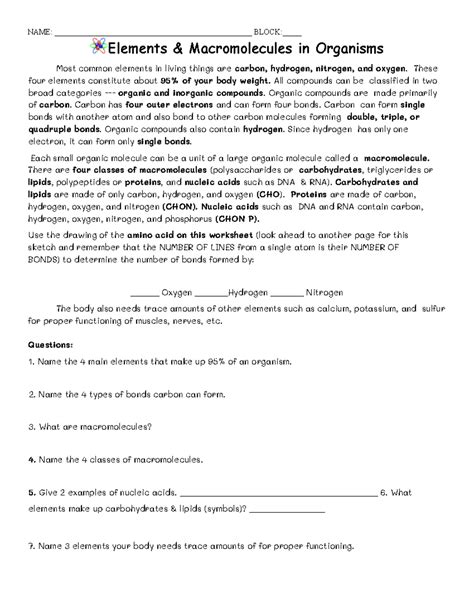 Macromolecule Packet Answers Doc