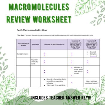 Macromolecule Review Answer Key Kindle Editon