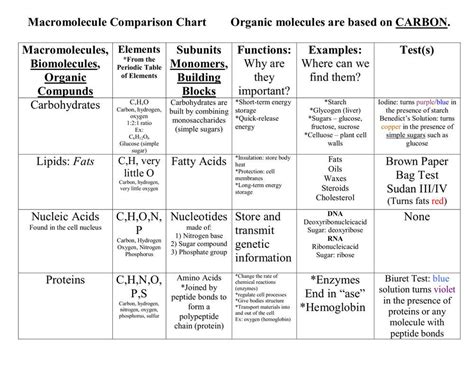 Macromolecules Guide Answers Ebook PDF