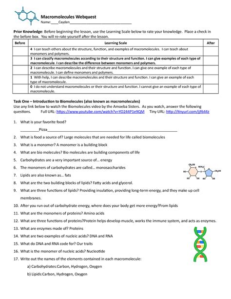 Macromolecules Webquest Answer Key Epub