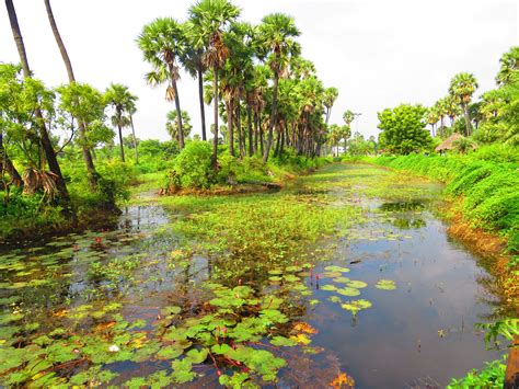 Madhavaram