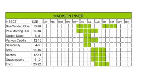 Madison River Hatch Chart