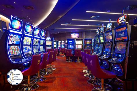 Maestral Casino: Elevate Your Gaming Experience