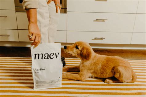 Maev Dog Food: A Comprehensive Guide to Nutrition, Benefits, and More