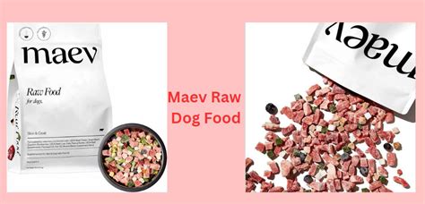 Maev Dog Food Review: Unbiased Analysis & Top 10 Picks for 2023