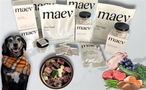 Maev Dog Food Reviews: A Comprehensive Guide to 10 Products in 2023