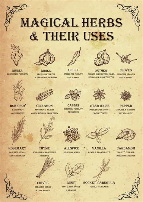 Magickal Herbs and Their Uses Reader