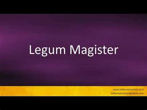 Magister in Latin