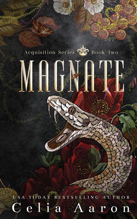 Magnate Acquisition Doc