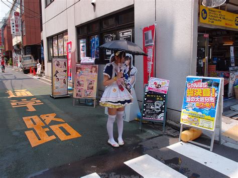 Maid Cafe on the Electric Street: A Comprehensive Guide to Akihabara's Anime Paradise