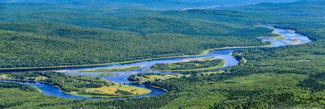 Maine Vacationland: Bear Fishing in a Canoe