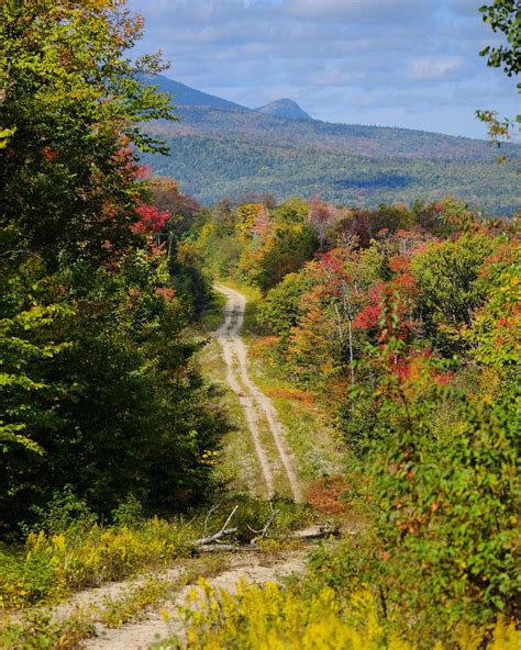 Maine Woods Doc