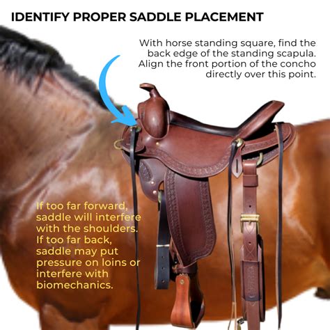 Maintain proper saddle fit: