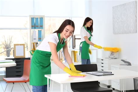 Maintaining a clean and healthy home