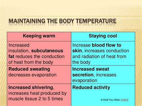 Maintaining a warm body temperature is paramount because it: