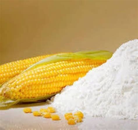 Maize (Corn) Products in India (Starch Reader