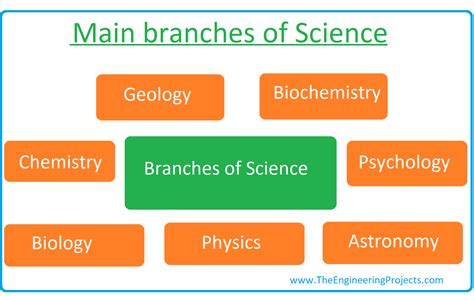 Major Branches: