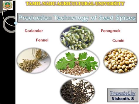 Major Seed Spices Production Technology Reader
