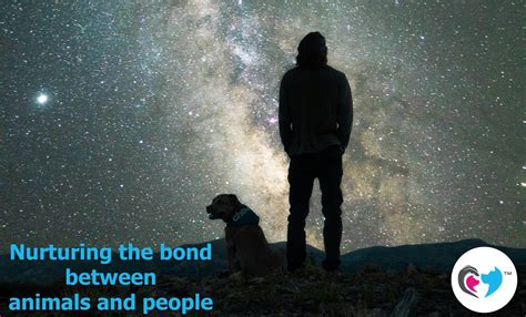 Majors for Animals: Nurturing the Bond Between Humans and Animals