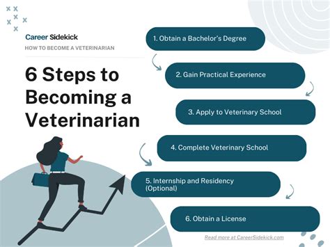 Majors for Veterinarians: A Comprehensive Guide to Education and Career Paths