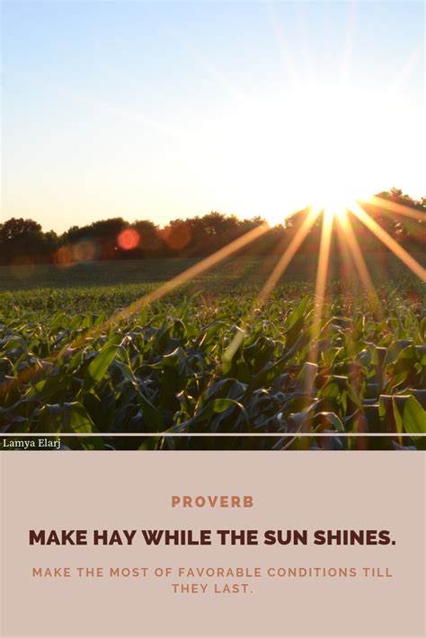 Make Hay While the Sun Shines Book of Proverbs Doc