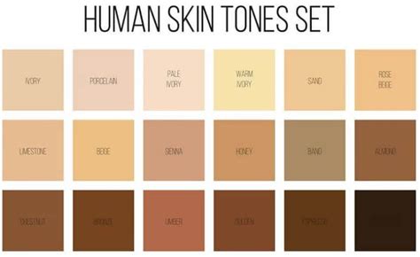 Makeup Skin Tone Chart