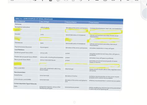Making A Chart Is The Correct Way To Map Quizlet