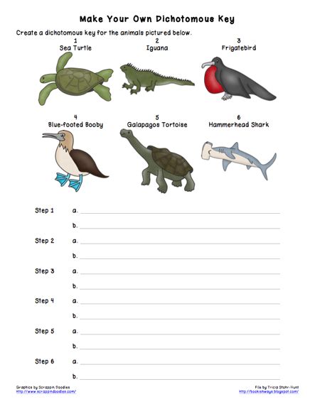 Making A Dichotomous Key Answers Kindle Editon