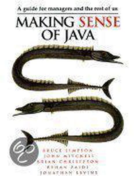 Making Sense of Java PDF