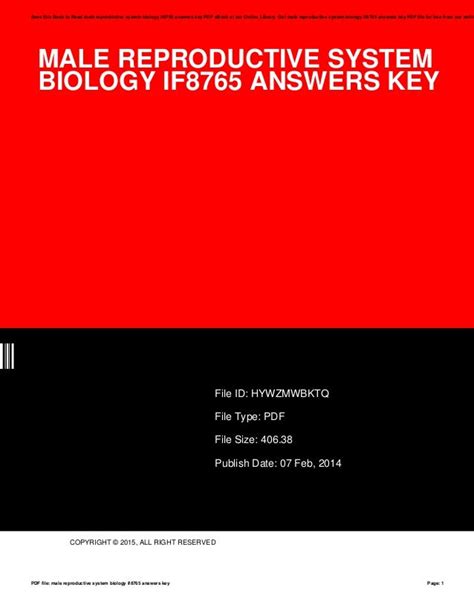 Male Reproductive System Answer Key Biology If8765 PDF