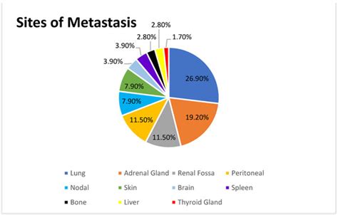 Malignancies of the Genitourinary Tract Reader