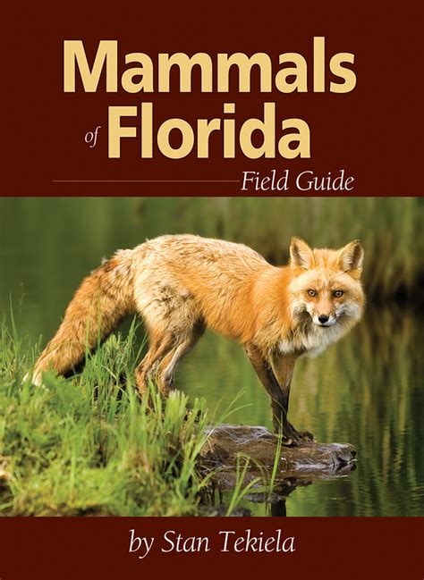 Mammals of Florida Field Guide Doc