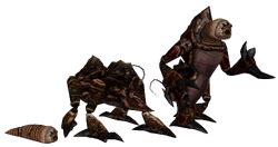 Mammals of Morrowind