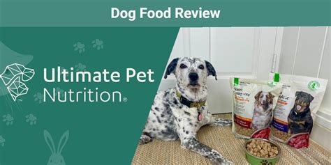 Mammaly 2025: The Ultimate Guide for Pet Nutritionists