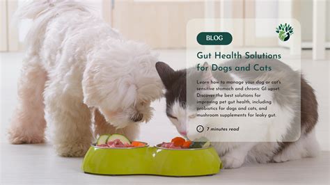 Mammaly and Pet Gut Health by 2025: Cats VS Dogs