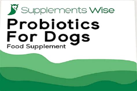 Mammaly and Pet Probiotics: A Comprehensive Guide