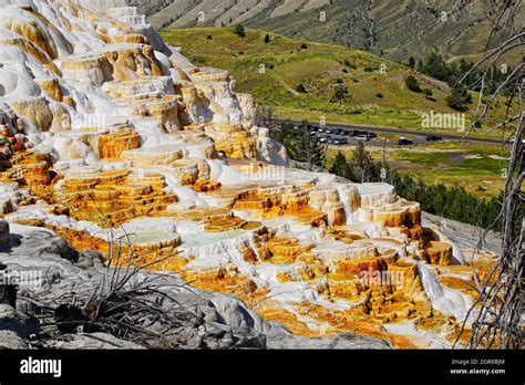 Mammoth Hot Springs: Yellowstone's 4500°F Geothermic Wonderland