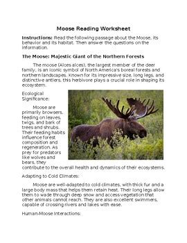 Man Hunt At Moose Gulch Answer Key PDF