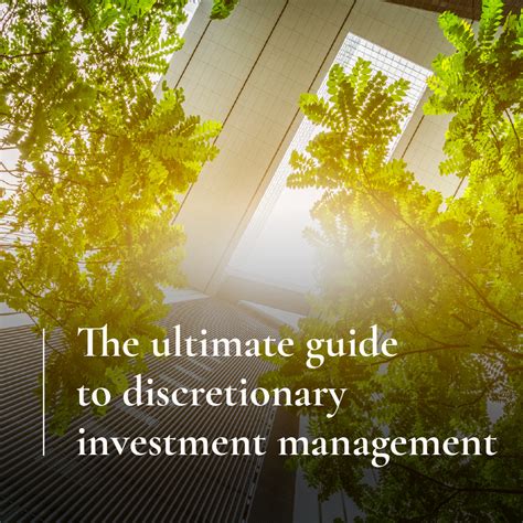 Managed Discretionary Accounts: The Ultimate Guide for Tailored Investment Solutions