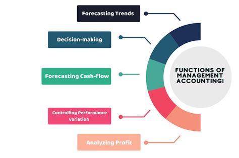 Management Accountant