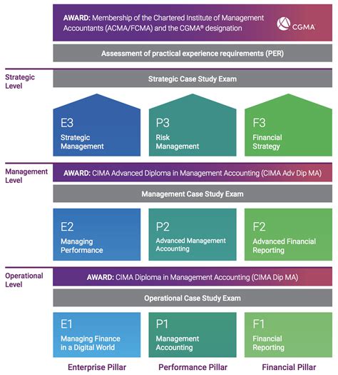 Management Accounting: Pathways To Progress (CIMA Ebook Doc