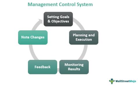 Management Control Systems Kindle Editon