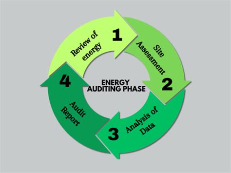 Management and Efficiency Audit Kindle Editon