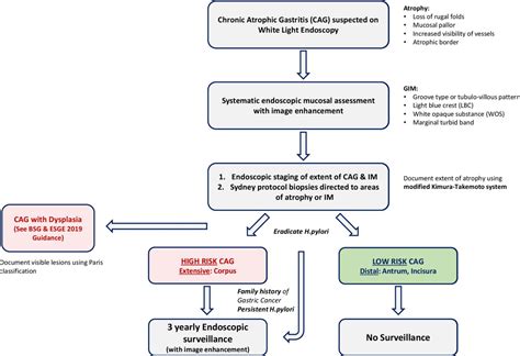 Management of Gastric Cancer - Recent Advances PDF