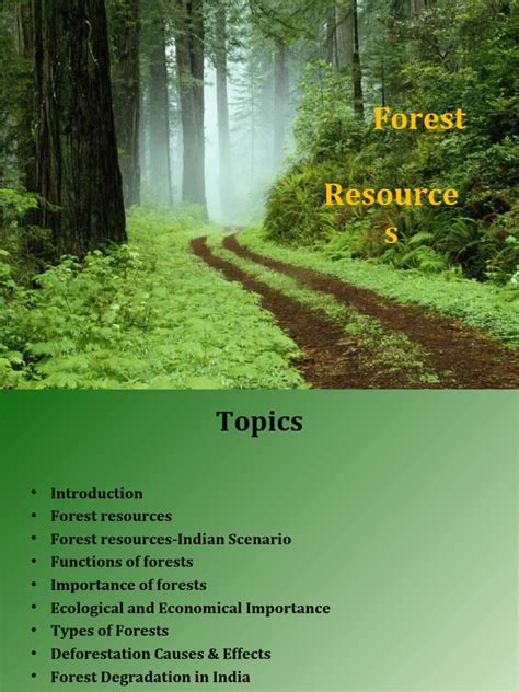 Management of India's Forest Resources Kindle Editon