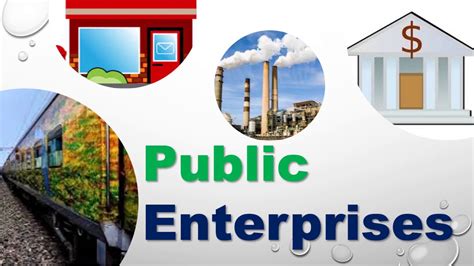 Management of Public Enterprises Doc