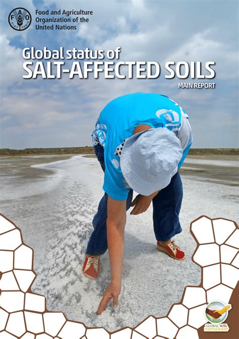 Management of Salt Affected Soils & Water PDF